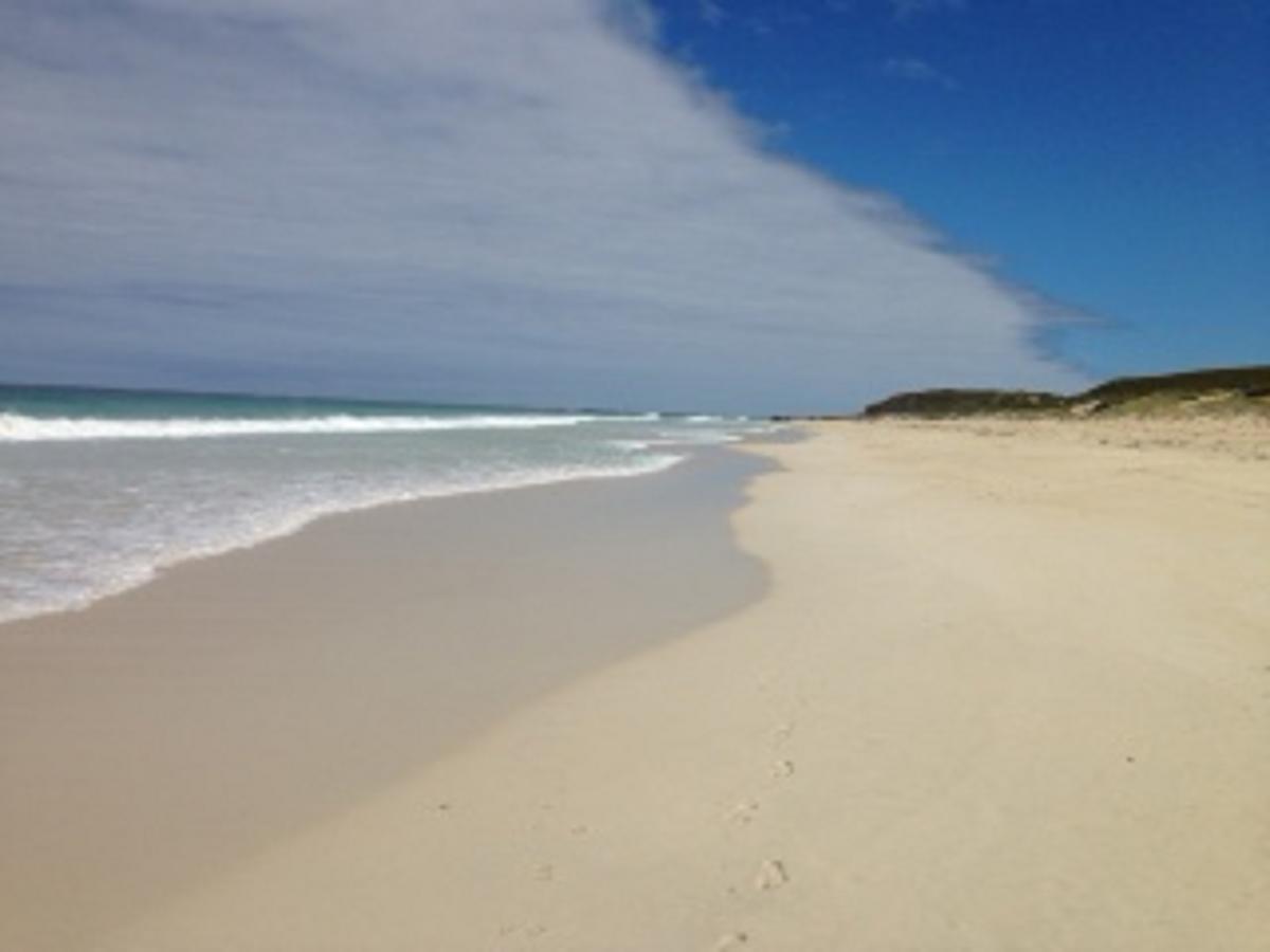Happy Dogs Cottage Margaret River Esterno foto